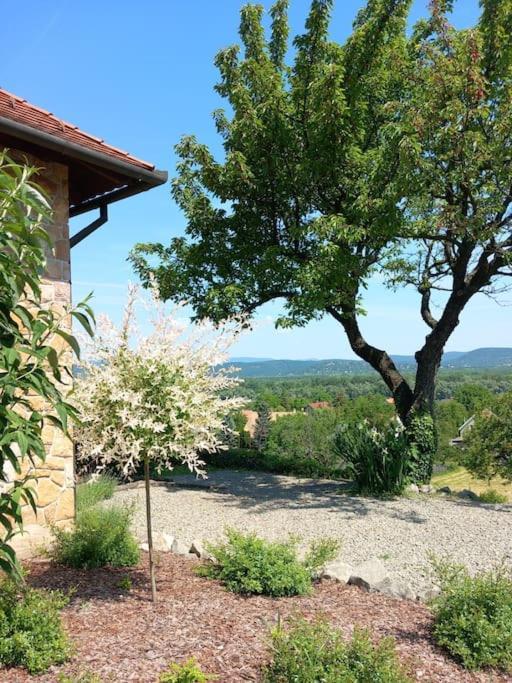Apartmán Donauresidenz Dunabogdány Exteriér fotografie